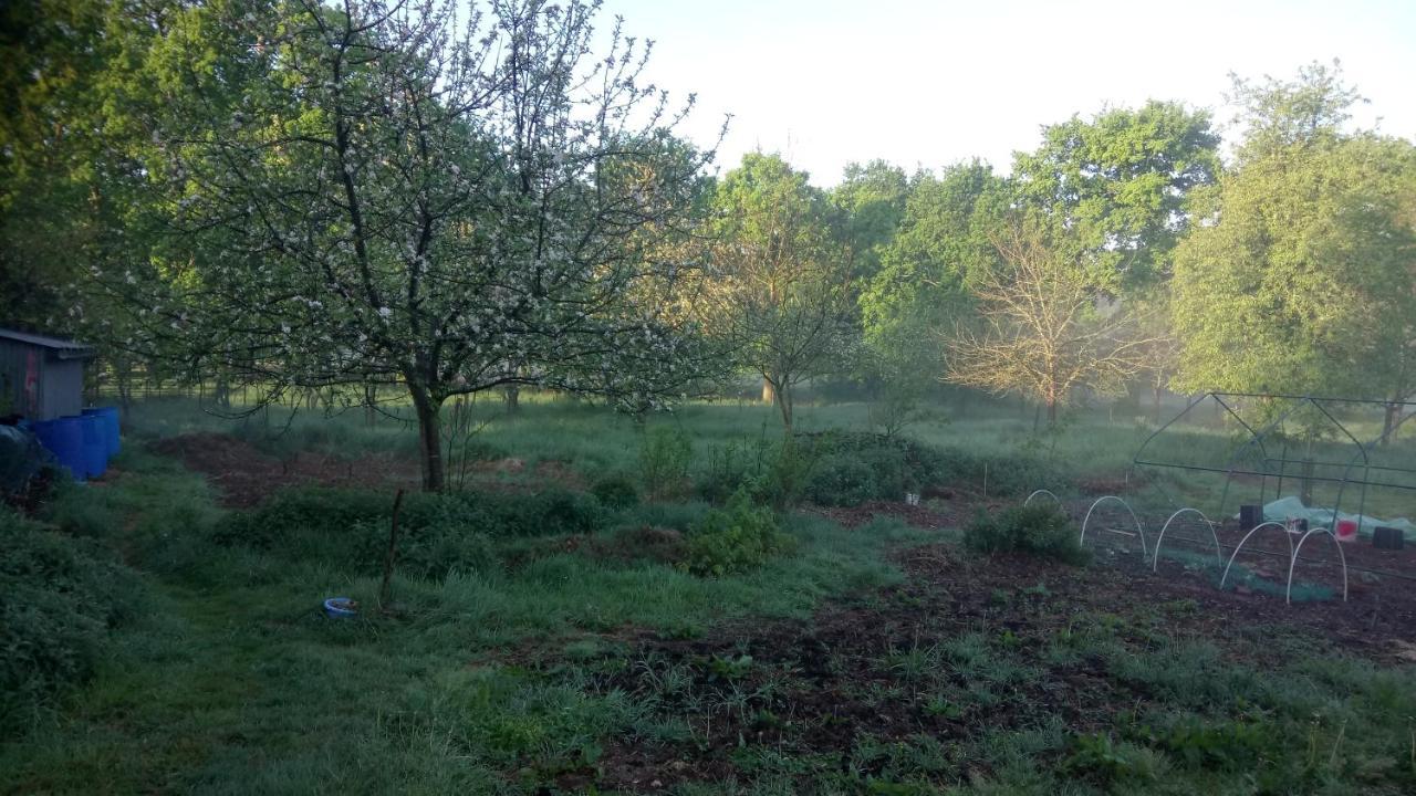 La Roulotte Chainoux Bains-sur-Oust Eksteriør billede